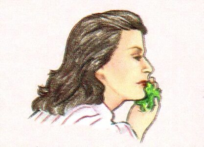 Growing and Using Coriander Spice Image